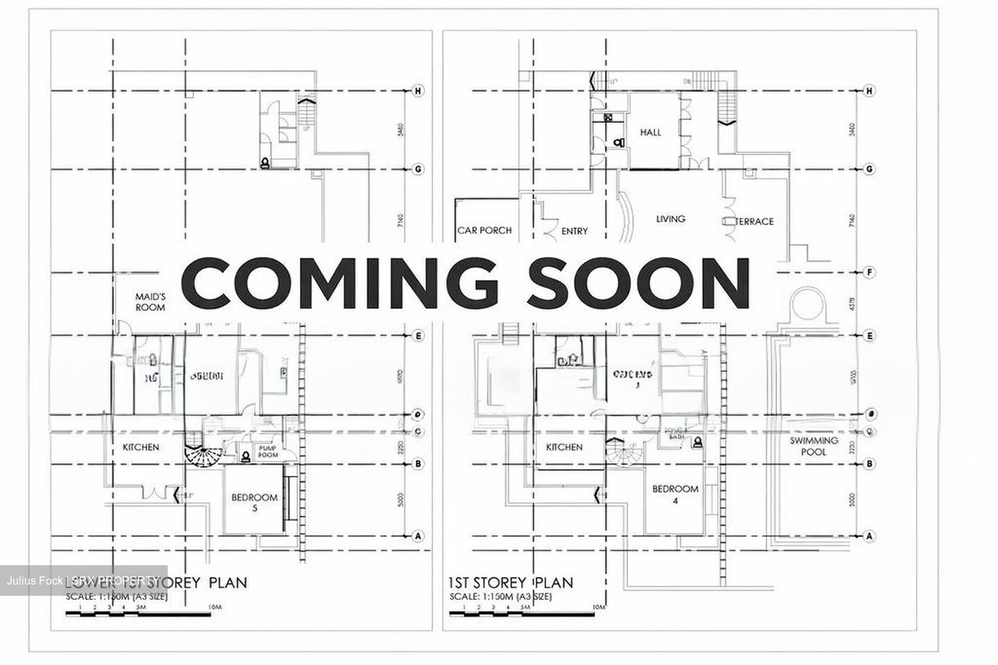 King Albert Park (D21), Detached #636809231